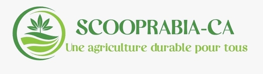 Partenaire 3